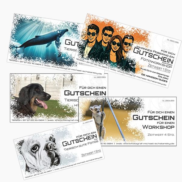 Fünf individuell gestaltete Geschenkgutscheine von Fotograf Michael Schalansky, die verschiedene Motive und Fotoshooting-Themen repräsentieren: Ein Gutschein mit einem springenden Wal für Tierfotografie, ein weiterer mit lachenden Personen und Farbspritzern für einen Fotoworkshop, ein Gutschein mit einem Hovawart-Hund, ein Gutschein mit einem Lemur für ein Tier-Fotoshooting und ein Gutschein mit einem Boxer-Hund für "Tierisch gute Fotos". Die Gutscheine sind farbenfroh und modern gestaltet.
